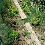 Casa de Férias Garden Relax Volterra