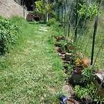 Garden Relax * Volterra