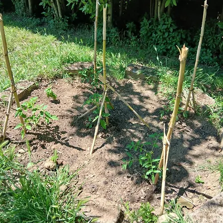 Garden Relax בית נופש
