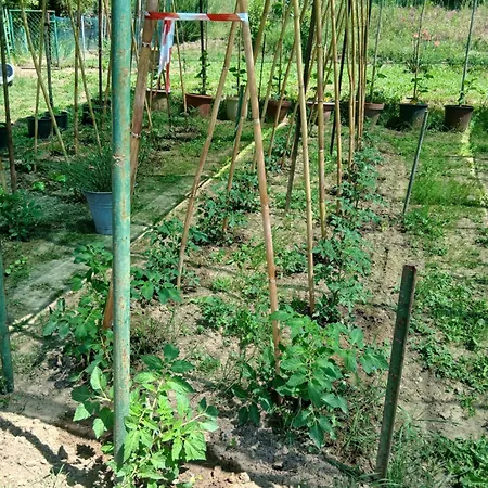 בית נופש Garden Relax *