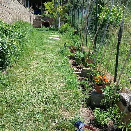 Garden Relax * וולטרה